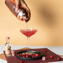 Load image into Gallery viewer, Single Cocktail (6 Cubes)